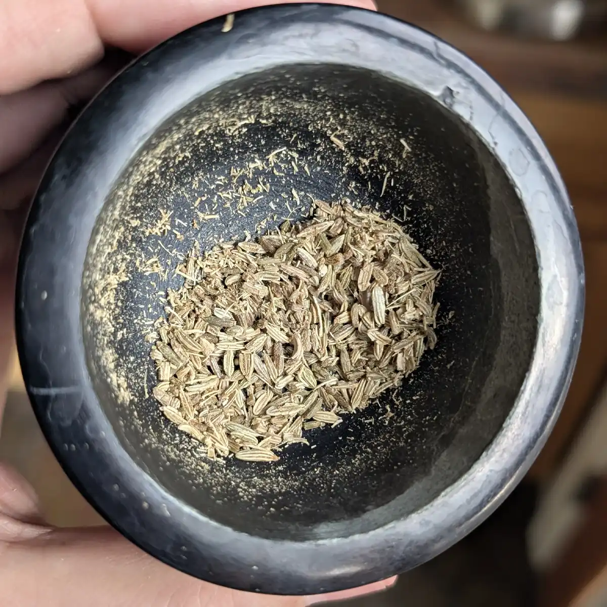 Gently Crushed Fennel