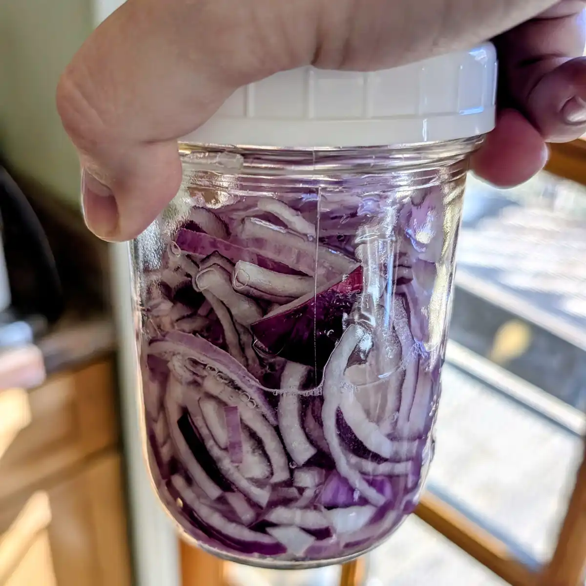 Swirling Red Onions and Liquid