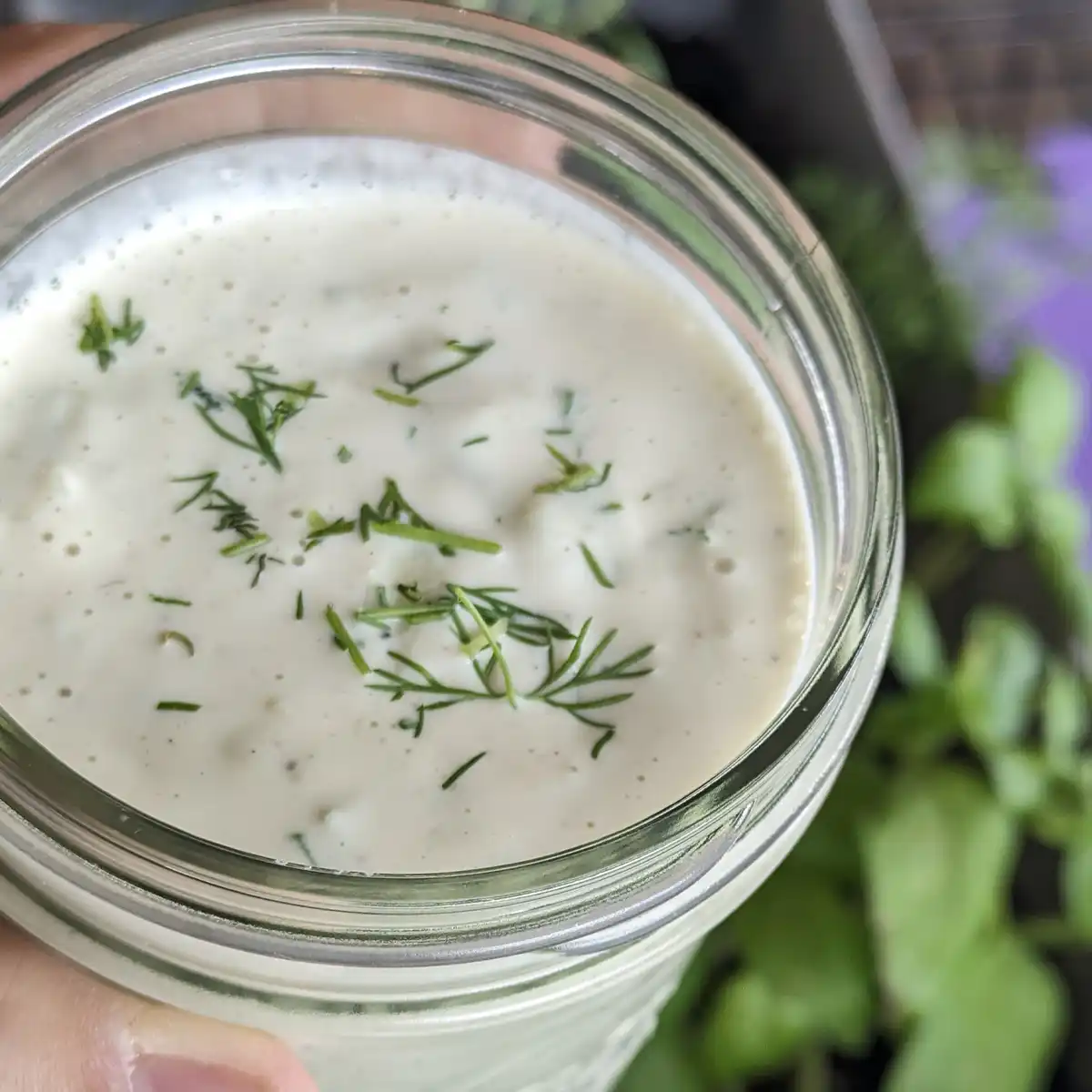 Tzatziki Sauce