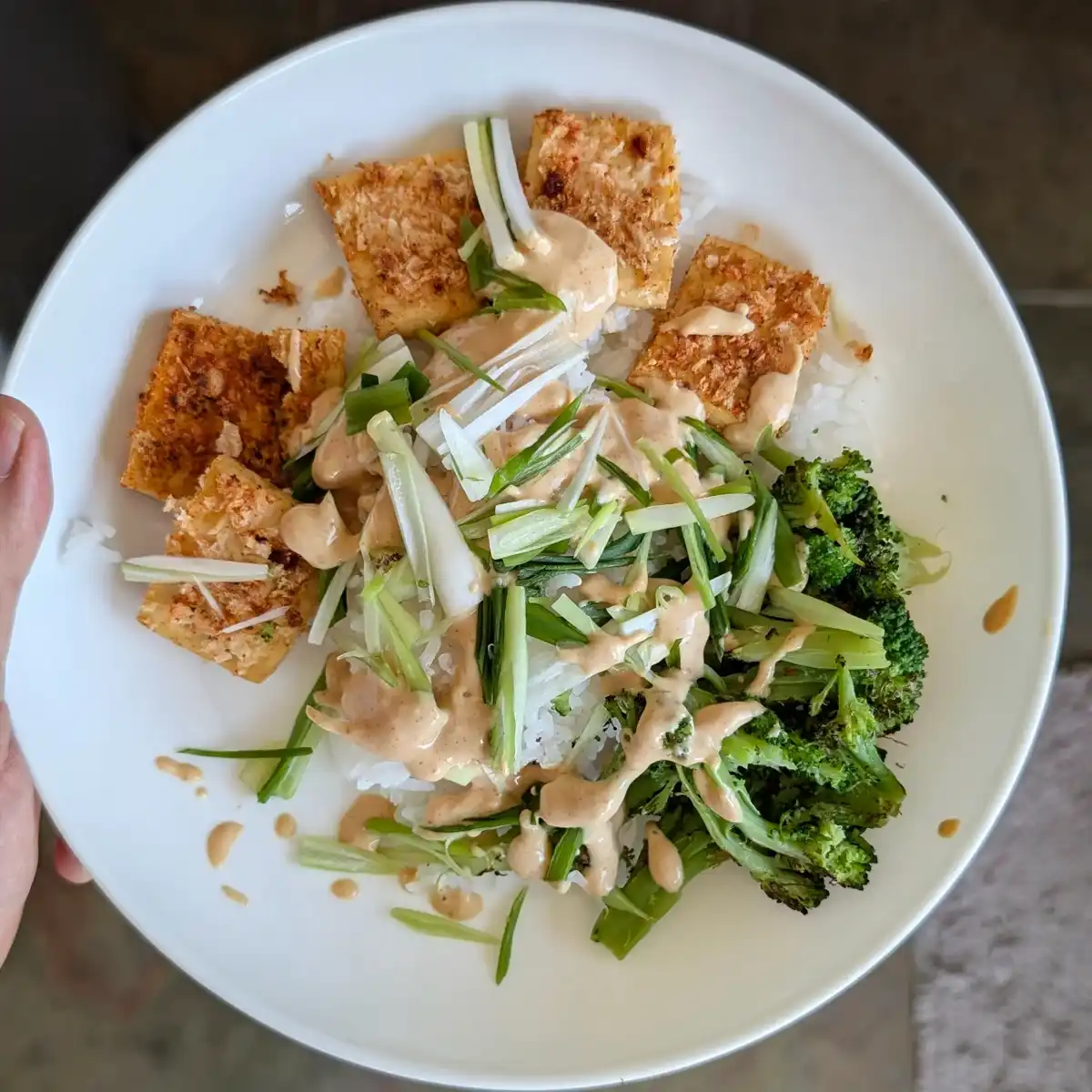 Zesty Sauce on Onion-Breaded Tofu, Rice, Broccoli, and Scallions